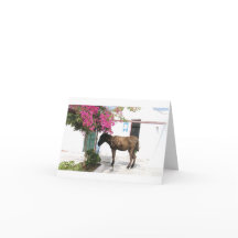 GreekIslandHouse.comのろばのマスコットOpa!