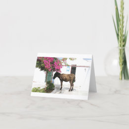 GreekIslandHouse.comのろばのマスコットOpa! カード