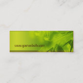 GREEN宇宙スキニープロファイル スキニー名刺 (裏面)