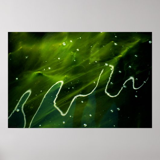 Green Algae and Water wapcn ポスター (正面)
