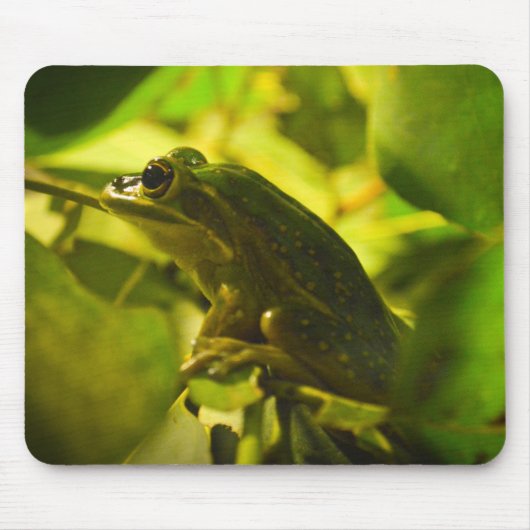 Green and Golden Bell Frog マウスパッド (正面)