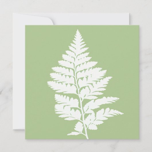 Green and White Fern Greeting Card カード (正面)