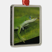 Green Anole、Anolis carolinensis、ヤシの上で大人 メタルオーナメント (右)