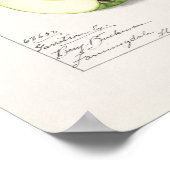 Green Apples (Malus Domestica) Fruit Painting ポスター (角)