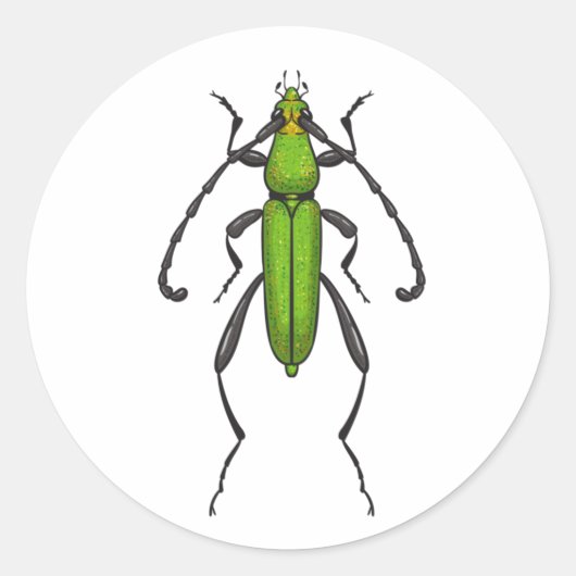 Green beetle ラウンドシール (正面)