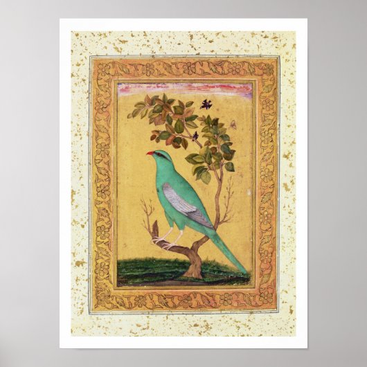 Green Bird, Mughal (紙のガッシュ) ポスター (正面)