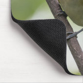 Green Bird, Red-Eyes Vireo,カナダ写真 マウスパッド (コーナー)