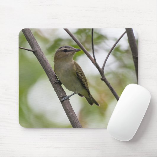 Green Bird, Red-Eyes Vireo,カナダ写真 マウスパッド (マウス)