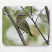 Green Bird, Red-Eyes Vireo,カナダ写真 マウスパッド (正面)