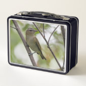 Green Bird, Red-Eyes Vireo,カナダ写真 メタルランチボックス (裏面)