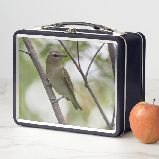 Green Bird, Red-Eyes Vireo,カナダ写真 メタルランチボックス (インサイチュ)