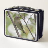 Green Bird, Red-Eyes Vireo,カナダ写真 メタルランチボックス (正面)