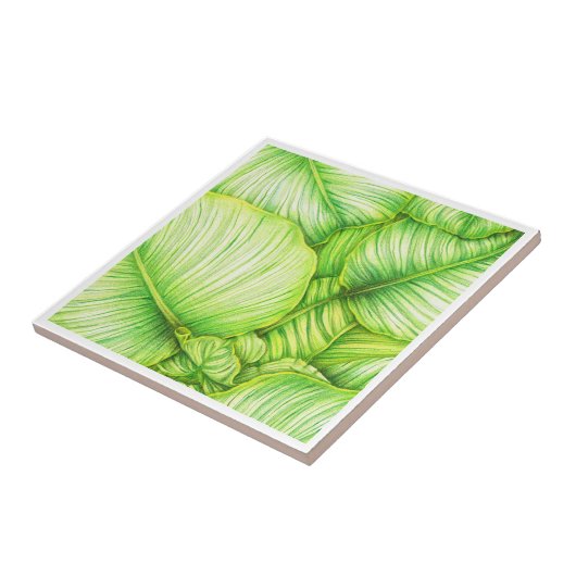 Green Botanical Ceramic Tile タイル (側面)