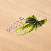 Green Bow She's Tying The Knot Bridal Shower アクリル招待状 (レイダウン)