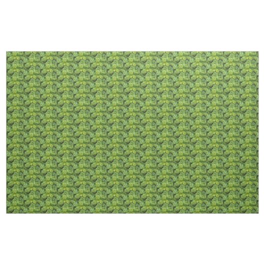 Green cabbage ファブリック (ヤード)