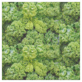 Green cabbage ファブリック (クローズアップ)