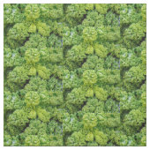 Green cabbage ファブリック (見本)