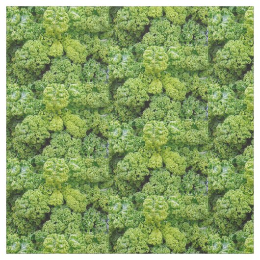 Green cabbage ファブリック (見本)
