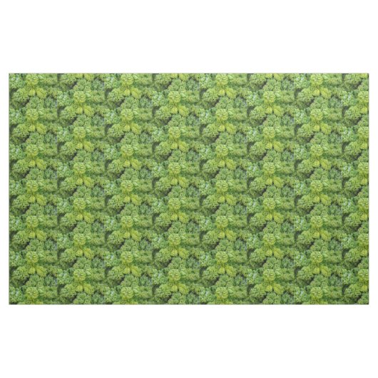 Green cabbage ファブリック (ファットクウォーター)