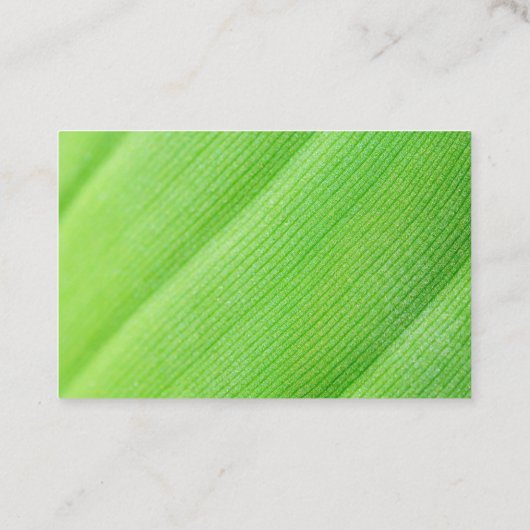 Green card with banana leaf 名刺 (裏面)