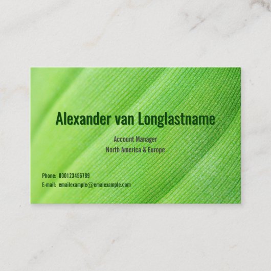 Green card with banana leaf 名刺 (正面)