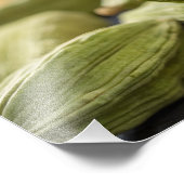 Green Cardamom Pods Macro Zoom Aromatic Spice Text フォトプリント (角)