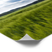 Green Cornfields and Blue Skies ポスター (角)