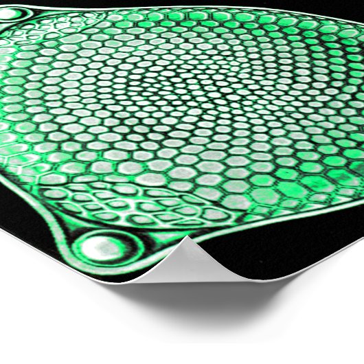Green Diatomeae、Diatom ポスター (角)