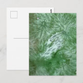 Green Dragonflies Dragonfly Lovers                 ポストカード (正面/裏面)