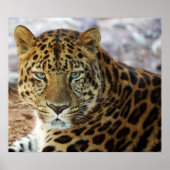 Green Eyes! ポスター (正面)