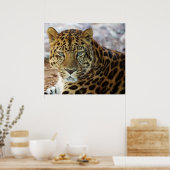 Green Eyes! ポスター (キッチン)