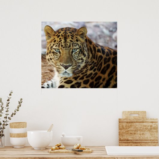 Green Eyes! ポスター (キッチン)