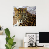 Green Eyes! ポスター (ホームオフィス)