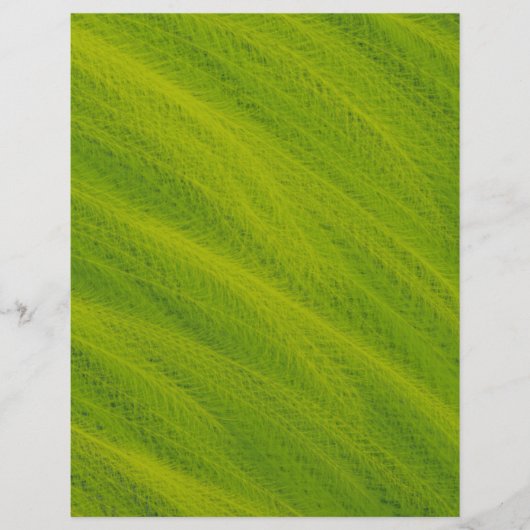 Green Field of Wheat Scrapbook Paper 2-Sided Page (正面)