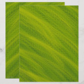 Green Field of Wheat Scrapbook Paper 2-Sided Page (正面/裏面)