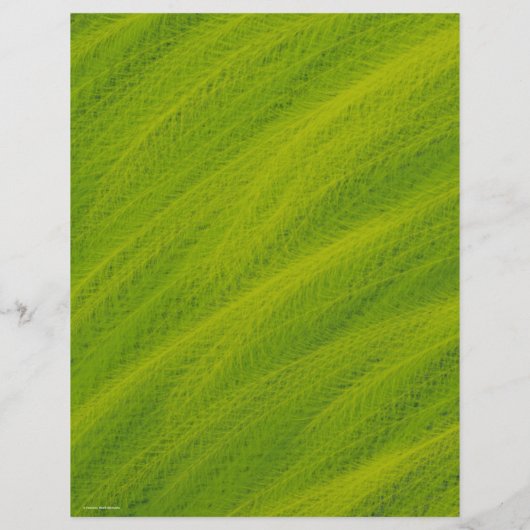 Green Field of Wheat Scrapbook Paper 2-Sided Page (裏面)