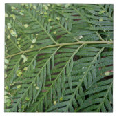 Green Foliage タイル (正面)