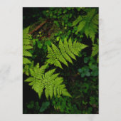 Green forest fern, Earth Day Card (正面)