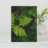 Green forest fern, Earth Day Card (スタンド正面)