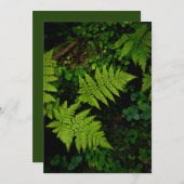 Green forest fern, Earth Day Card (正面/裏面)