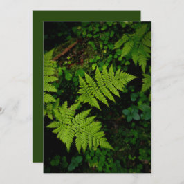 Green forest fern, Earth Day Card