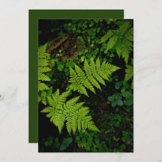 Green forest fern, Earth Day Card (正面/裏面)
