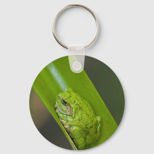 Green Frogマクロ キーホルダー