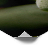 Green Gemsポスター ポスター (角)