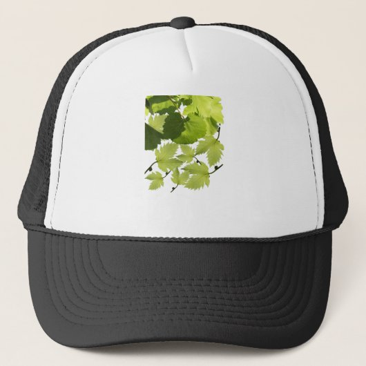 Green Grape Vine Leaves キャップ (正面)