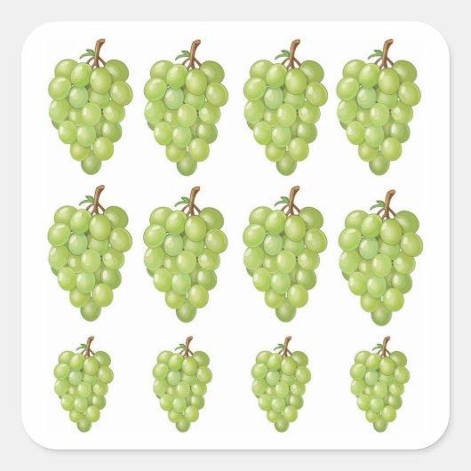 Green Grapes スクエアシール (正面)