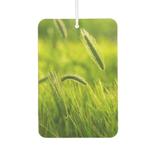 green grass カーエアーフレッシュナー (正面)