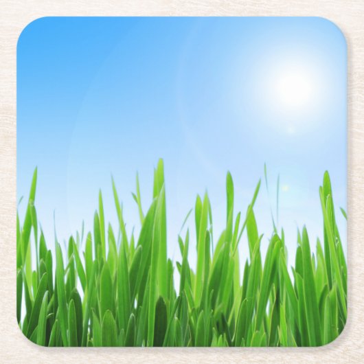 Green Grass And Sky Banner スクエアペーパーコースター (正面)