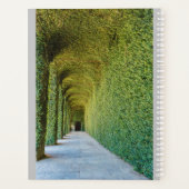 green greenhouse ficus repens on planner プランナー手帳 (裏面)