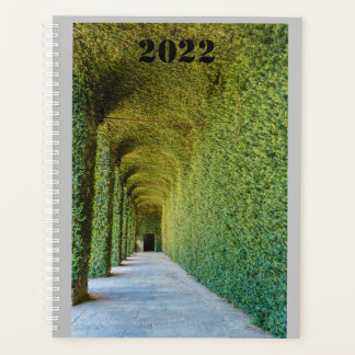 green greenhouse  ficus repens on planner プランナー手帳
